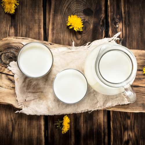  Козето мляко - еликсир за здрави нерви, чисти дробове и силен имунитет 